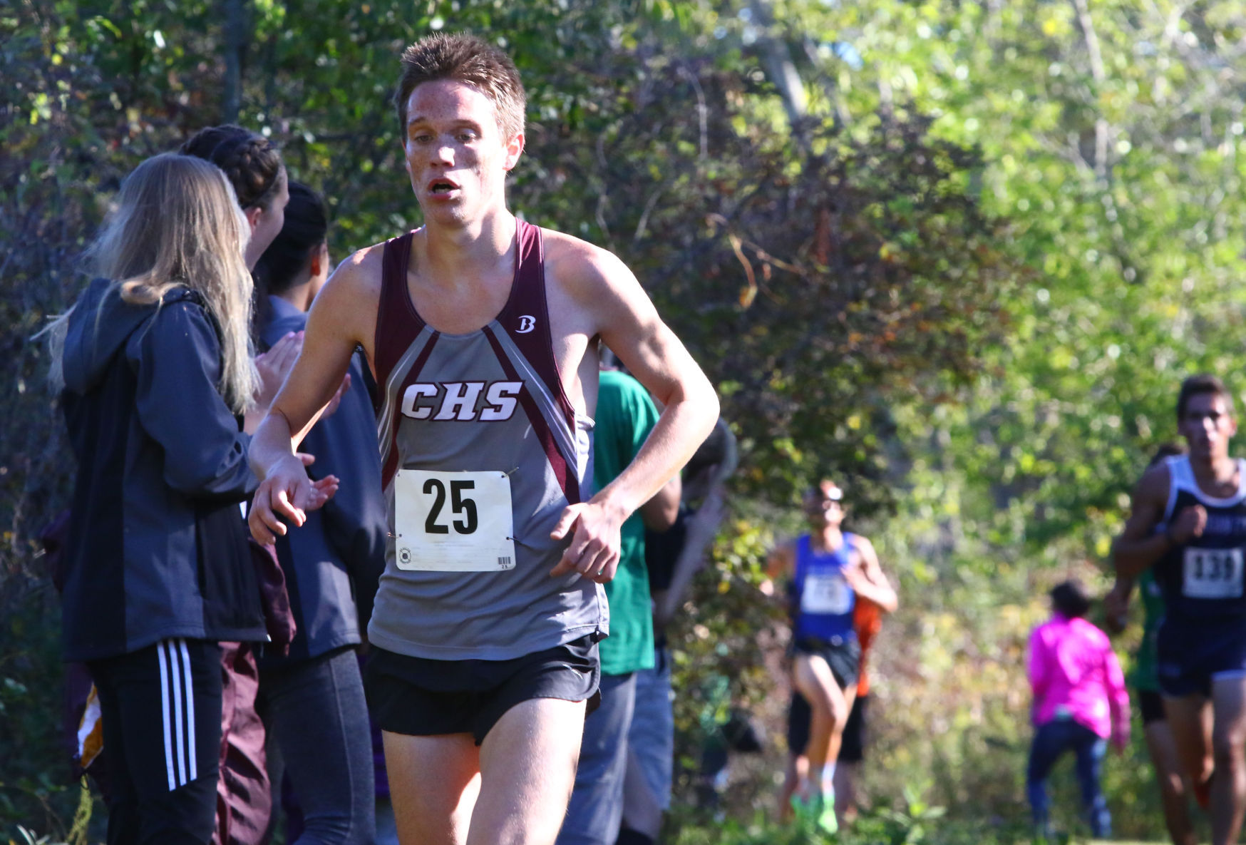 Gallery: Duneland Athletic Conference cross country meet
